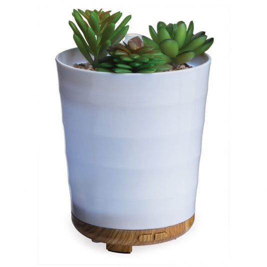 'Potted Succulent'- Oil Diffuser