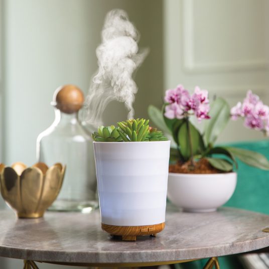 'Potted Succulent'- Oil Diffuser