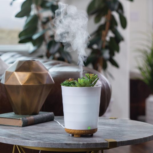 'Potted Succulent'- Oil Diffuser