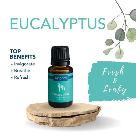 'Eucalyptus'