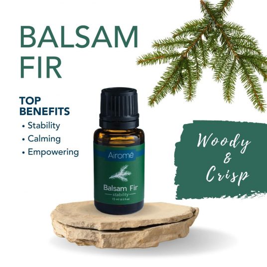 'Balsam Fir'