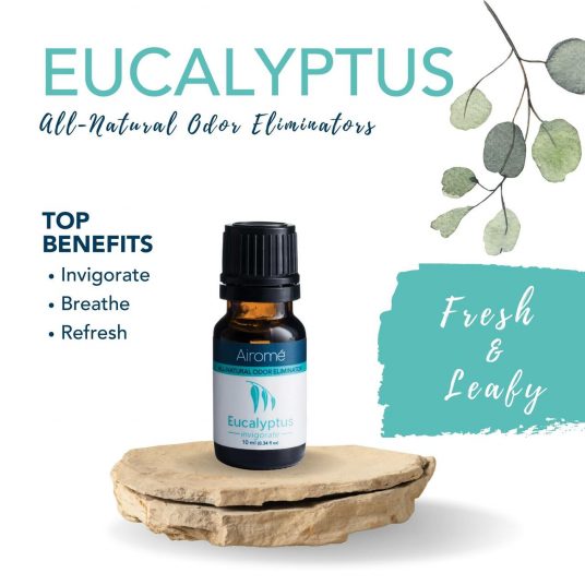 'Eucalyptus' - Odor Eliminator