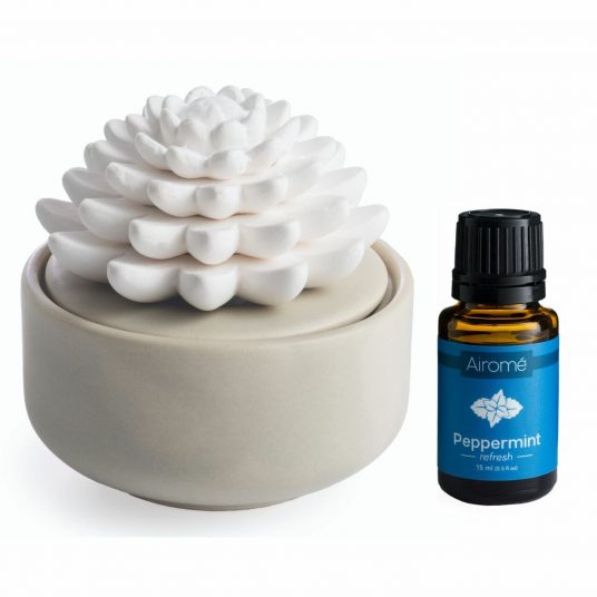 'Succulent' - Porcelain Diffuser w/ 15ml Peppermint